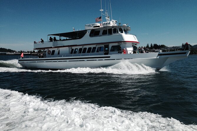 Whale Watching From Friday Harbor - Transportation and Accessibility