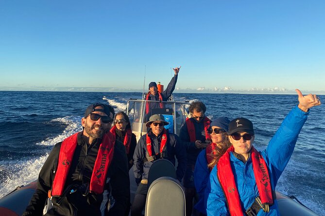 Whale Watching Gold Coast - The Sum Up