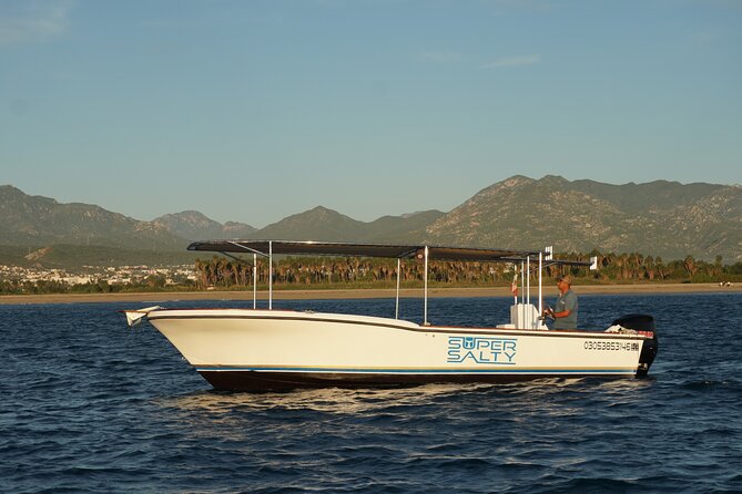 Whale Watching Group Tour in San Jose Del Cabo - Meeting and Pickup