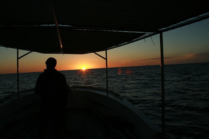 Whale Watching Group Tour in San Jose Del Cabo - Tour Logistics