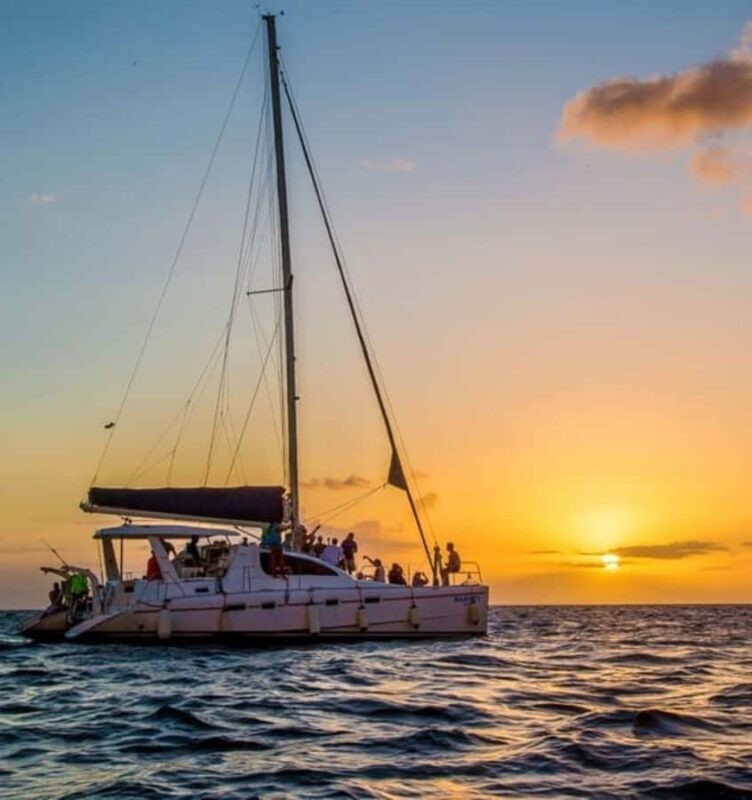 Whale Watching in a Yacht in Mirissa - FAQ