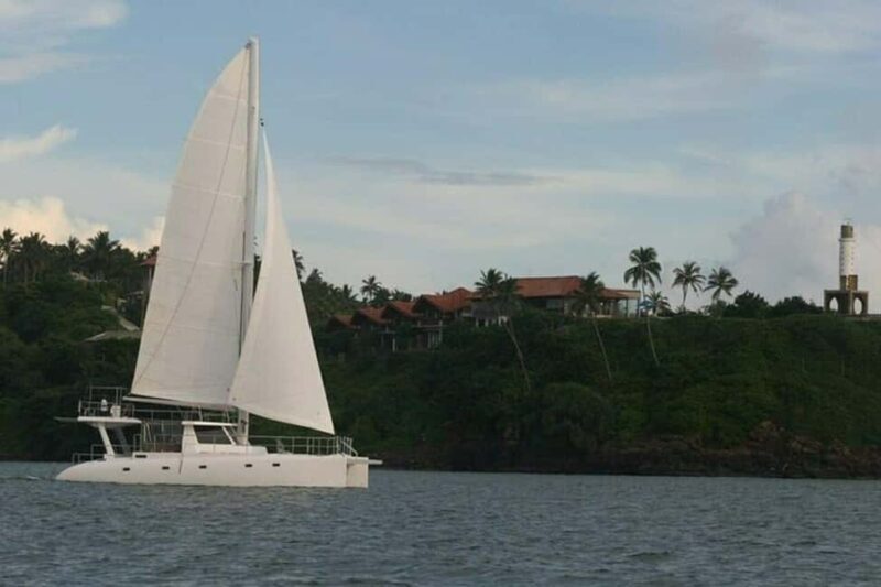 Whale Watching in a yacht in Trincomalee - An Elegant Way to See Marine Giants