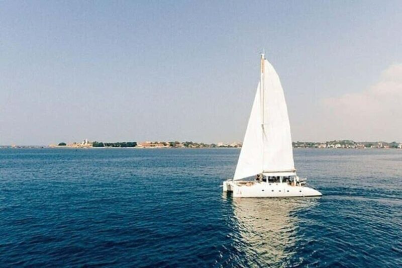 Whale Watching in a yacht in Trincomalee - The Value of the Experience