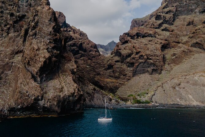 Whale Watching in Los Gigantes for Over 11 Years - Inclusions and Logistics