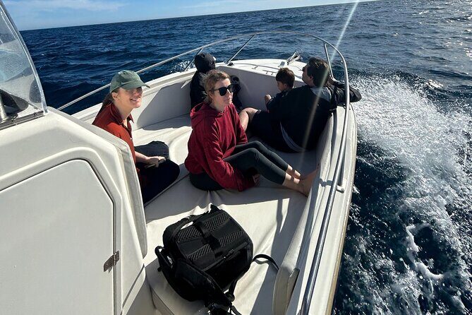 Whale Watching in San Jose del Cabo - Final Thoughts: Is it Right for You?