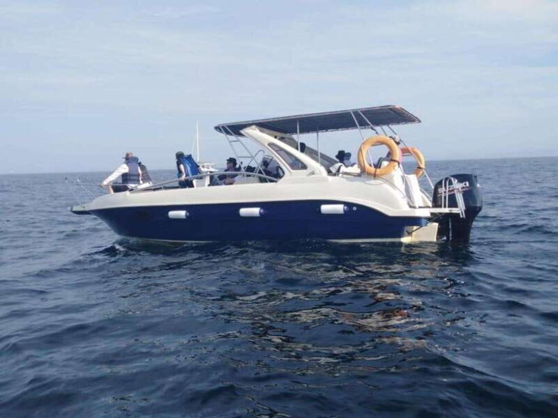 Whale Watching in Speed Boat in Mirissa - Good To Know