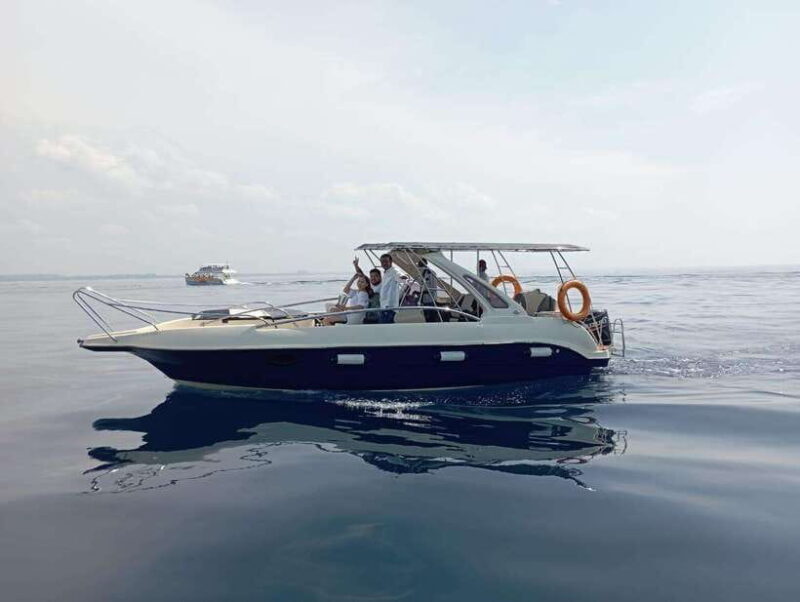 Whale Watching in Speed Boat in Mirissa - Why Choose This Whale Watching Tour?