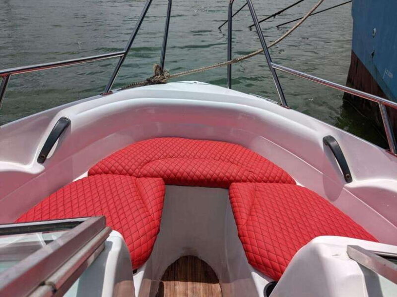 Whale Watching in Speed Boat in Mirissa - An In-Depth Look at the Whale Watching Speed Boat Tour in Mirissa