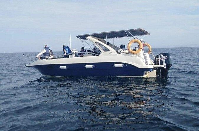 Whale Watching in Speed Boat in Mirissa - FAQ