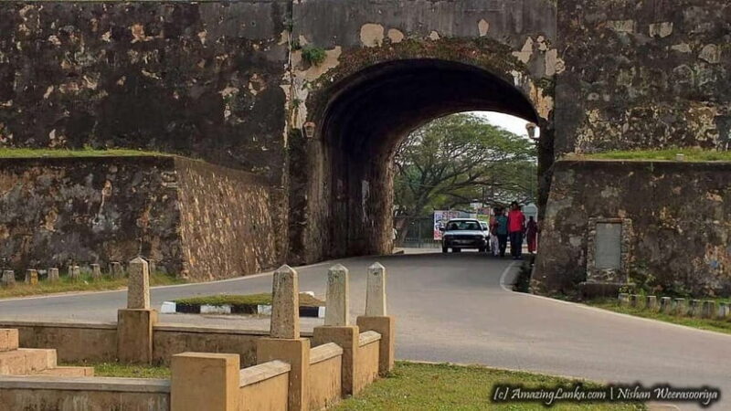 Whale Watching in Sri Lanka A Majestic Ocean Adventure - FAQ