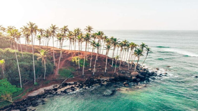 Whale Watching in Sri Lanka  A Majestic Ocean Adventure - FAQ