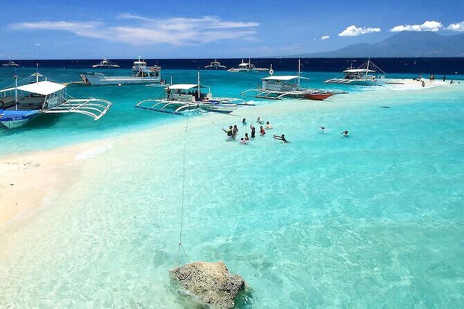 Whale Watching in Sumilon Island with Ocean View Resort and Lunch - Diving Deep into the Experience