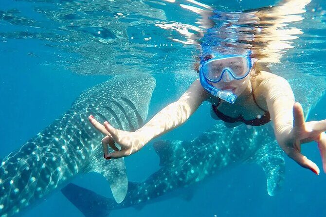 Whale Watching in Sumilon Island with Ocean View Resort and Lunch - FAQ