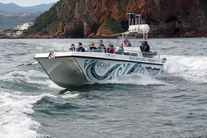 Whale Watching Knysna - Close Encounter Experience Ocean Odyssey - Cancellation Policy