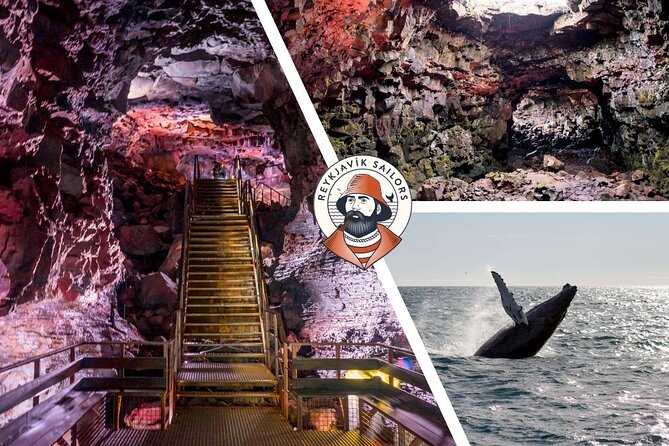 Whale Watching & Lava Tunnel With Transfer From Reykjavik - Tour Details