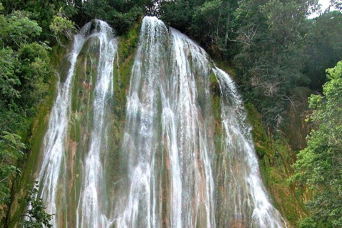 Whale Watching & Limón Waterfall Day Trip - Limón Waterfall Adventure