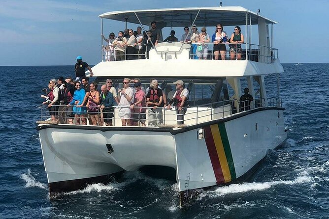 Whale Watching Mirissa With (Wwc) - Activity Details