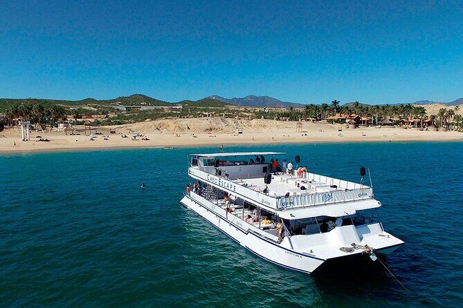 Whale Watching on 2 Level Big Boat with Breakfast and Drinks INCLUDED - An In-Depth Look at the Whale Watching Tour