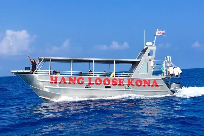 Whale Watching On The Big Island - Overview of Whale Watching Tour