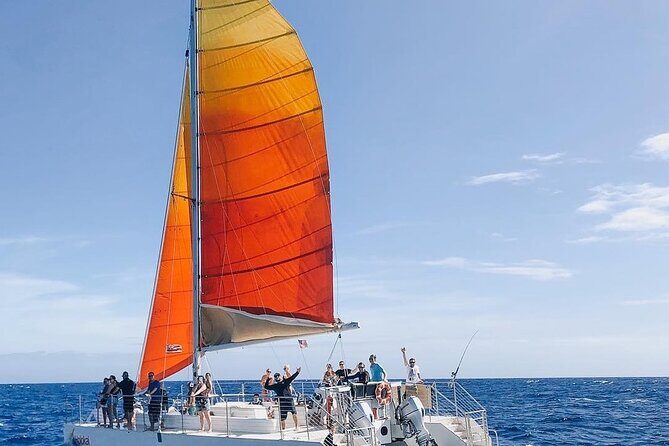 Whale Watching Sail in Honolulu with Open Bar - Discovering Oahu’s Marine Life from the Deck