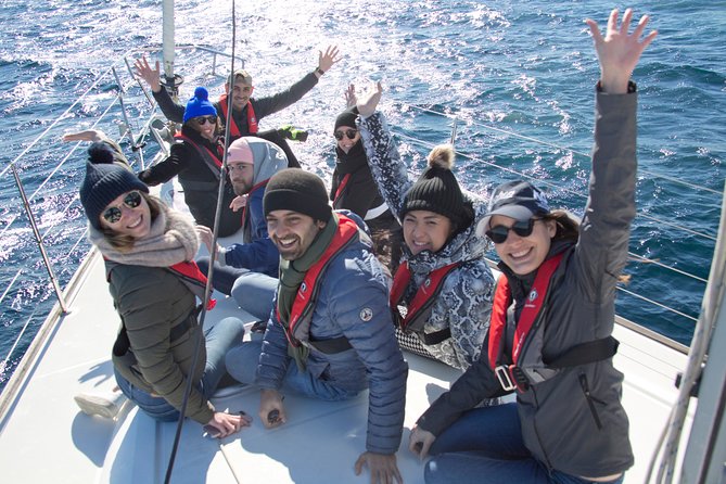 Whale Watching Sailing Experience in Sydney - Directions