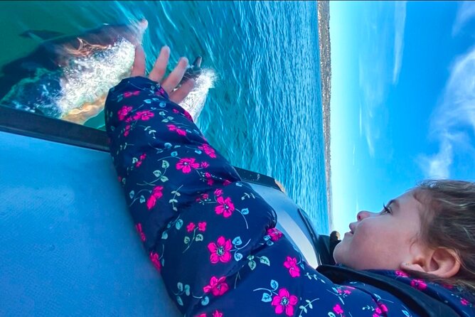 Whale Watching San Diego: Private Charter Experience - Overview and Experience