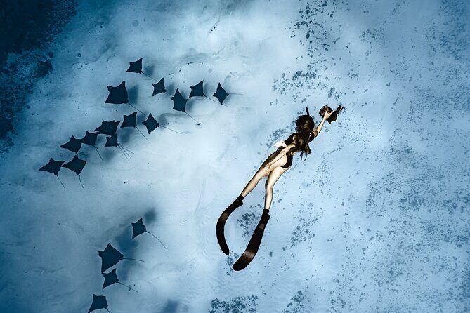 Whale Watching Shared Half Day - The Experience in Detail