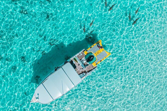 Whale Watching Shared Half Day - Wrapping It Up