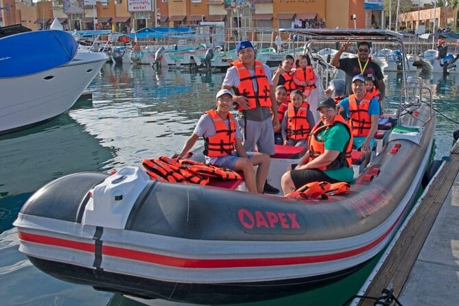 Whale Watching Snorkel Combo - Expectations