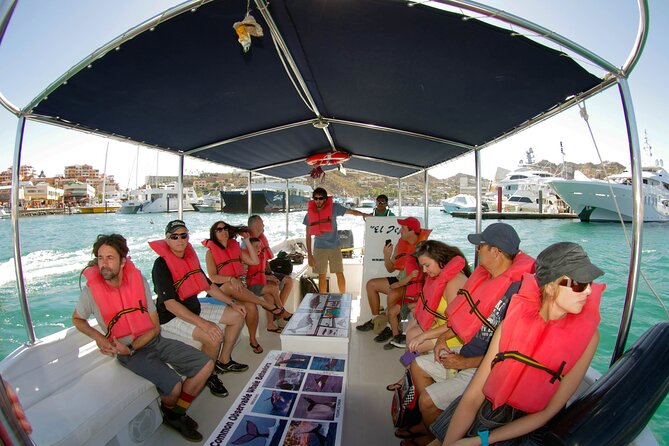 Whale Watching Snorkel Combo - Cancellation Policy