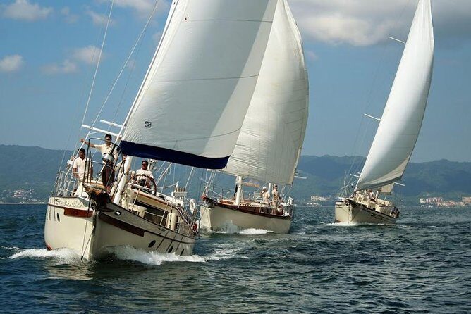 Whale Watching The Best Of Puerto Vallarta - The Value for Money