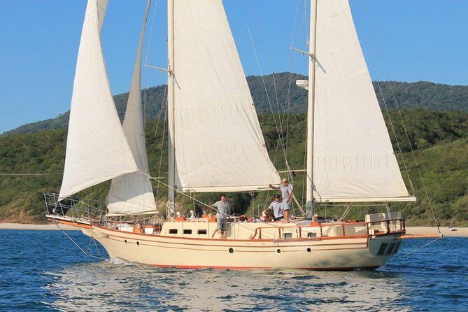 Whale Watching The Best Of Puerto Vallarta - Who Should Consider This Tour?