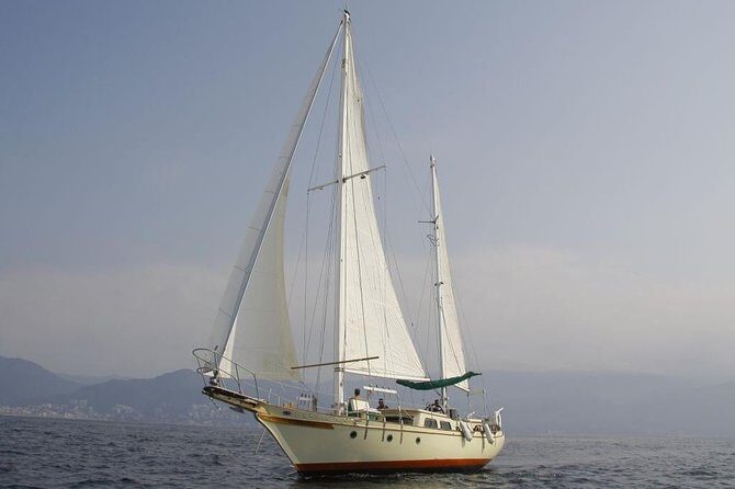 Whale Watching The Best Of Puerto Vallarta - FAQ