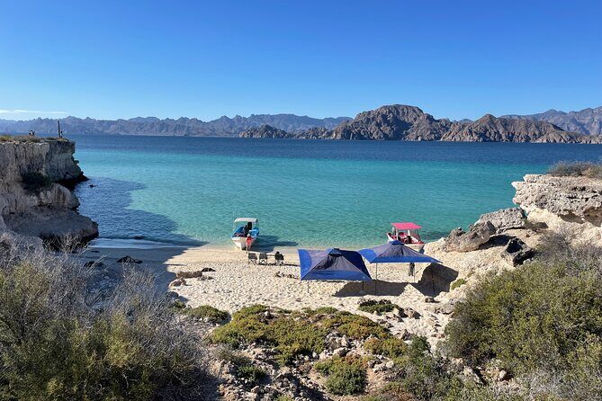 Whale Watching Tour - Final Thoughts