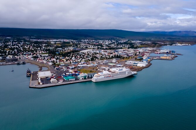 Whale Watching Tour From Akureyri City Central - Tour Overview