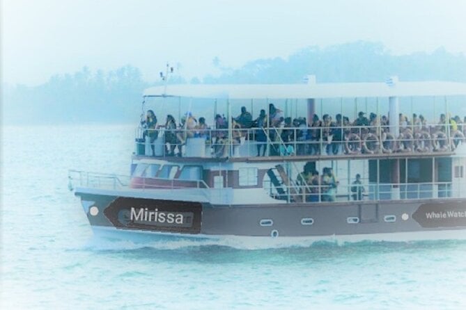 Whale Watching Tour From Galle, Unawatuna, Koggala, Weligama, - Pickup Points