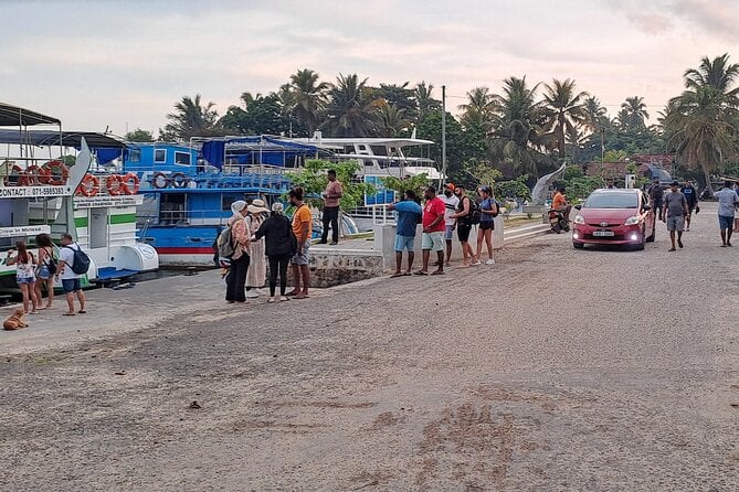 Whale Watching Tour From Galle, Unawatuna, Koggala, Weligama, - Additional Information