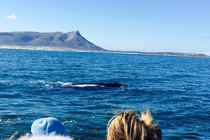 Whale Watching Tour in Hermanus With Hotel Pickup - Best Time for Whale Watching