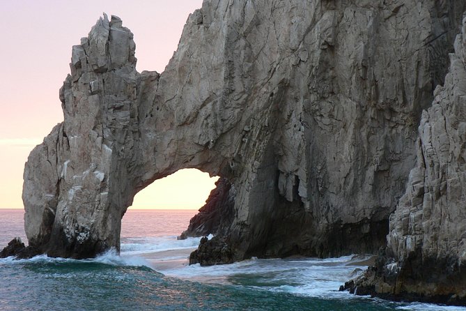 Whale Watching Tour on a Pontoon Experiencing the Most Magical Gift of Nature! - Transportation and Meeting Point