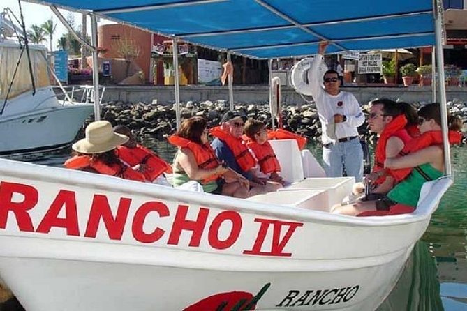 Whale Watching Tour on a Pontoon Experiencing the Most Magical Gift of Nature! - Pricing and Booking Details