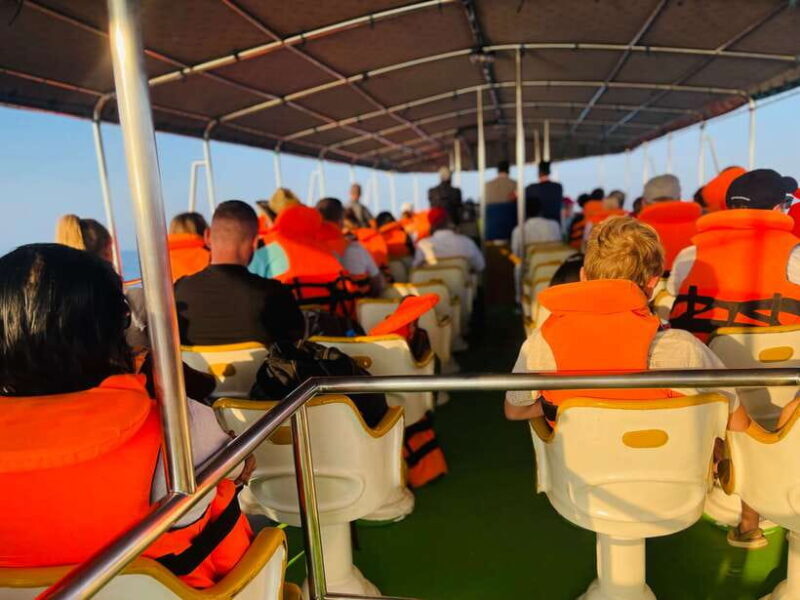 Whale Watching Tour with Transfers - Who Should Consider This Tour?