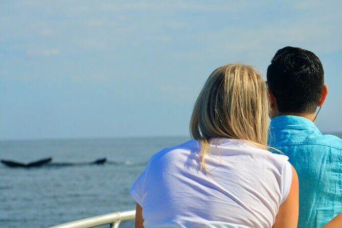 Whale Watching Warranty in San José del Cabo Snacks and drinks - Who Is This Tour Best For?