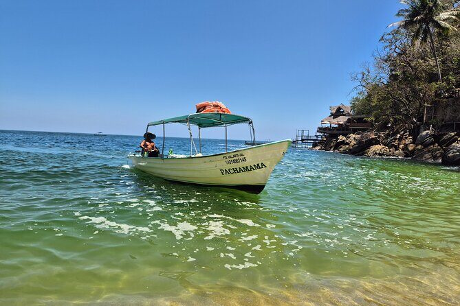Whale watching with Snorkeling and beach Colomitos - Good To Know