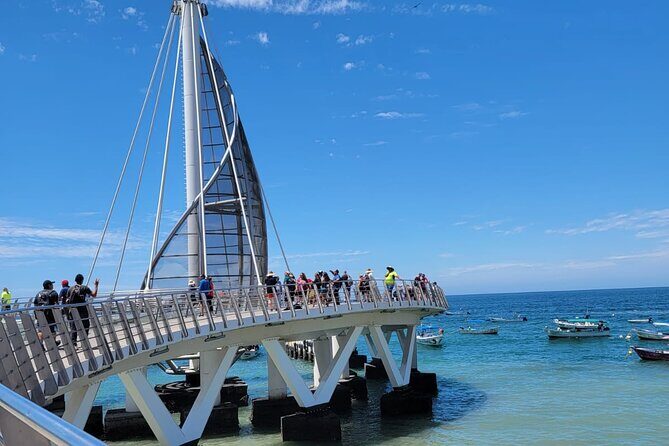 Whale watching with Snorkeling and beach Colomitos - Who Will Love This Tour?