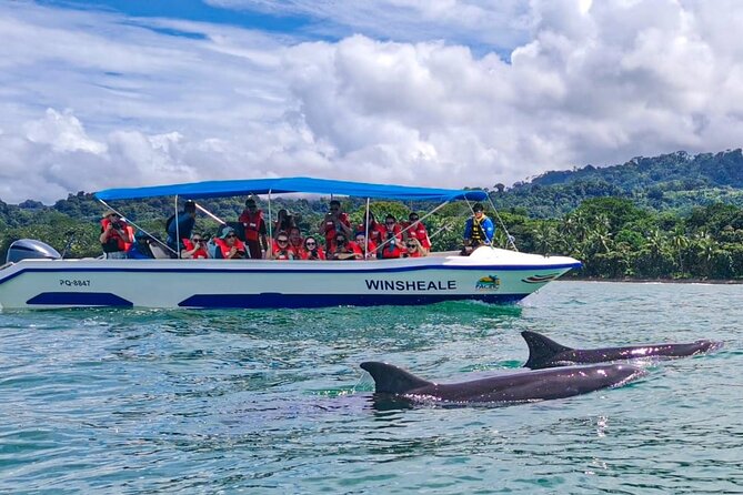 Whales and Dolphins Combo Tour - Tour Information