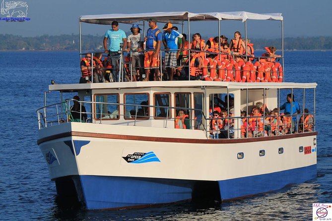 Whales and Dolphins Watching Mirissa - Overview