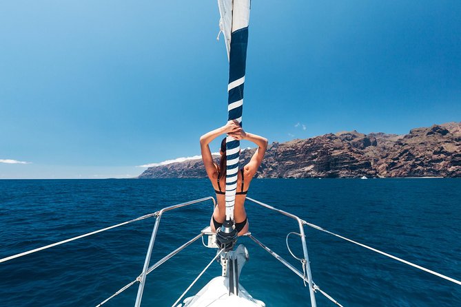 Whales & Dolphins Watching in Exclusive Sailboat - End Point