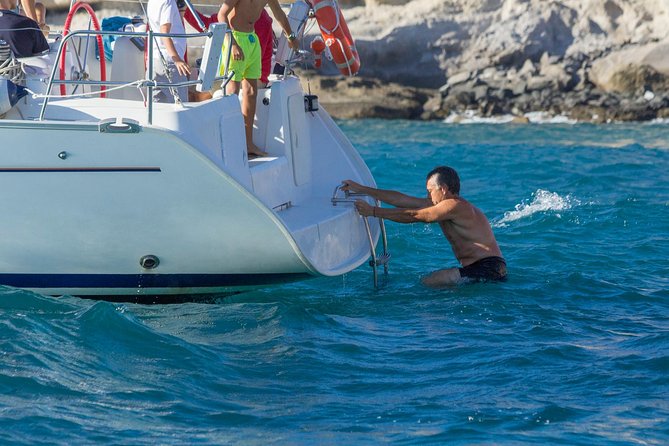 Whales & Dolphins Watching in Exclusive Sailboat - Additional Info