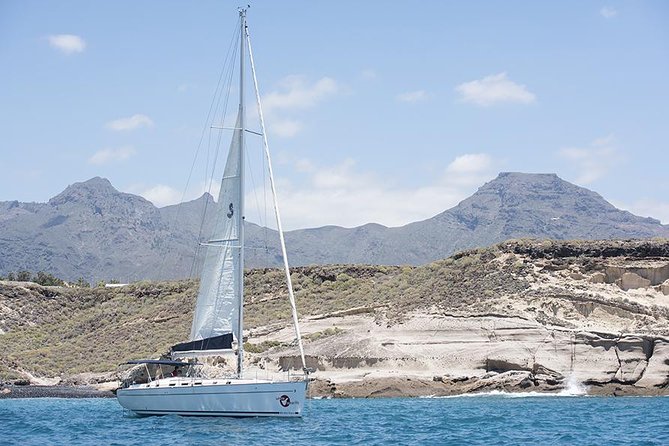 Whales & Dolphins Watching in Exclusive Sailboat - Tips for a Memorable Experience