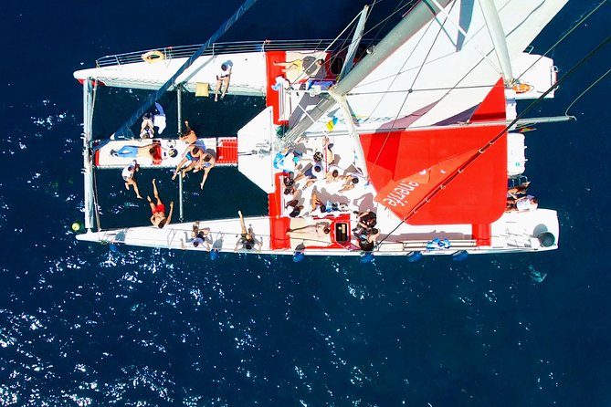 Whales Listening Eco-Catamaran Tour With Food Tasting - Meeting and Pickup Information